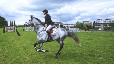 Learn to Calm Down Your Nervous Horse Before Show- NorCordia