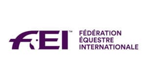 What is FEI and Who is FEI? Find the best answer | NorCordia