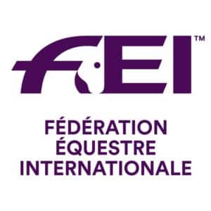 What is FEI and Who is FEI? Find the best answer | NorCordia