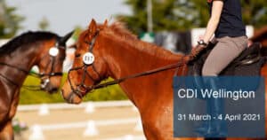 CDI, Wellington Scores 2021- 31 March - 4 April | Norcordia
