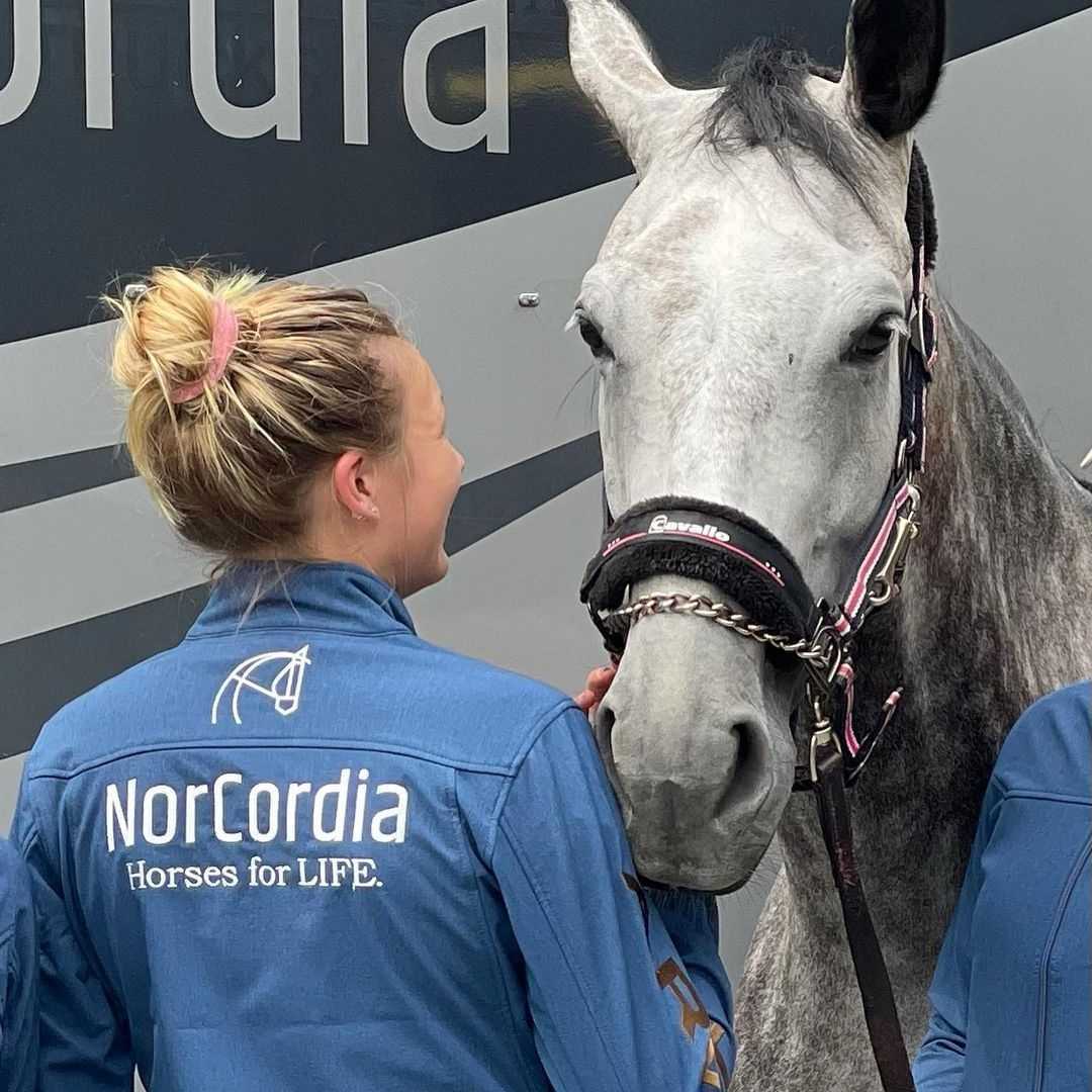 Choose the right NorCordia horse for you.
