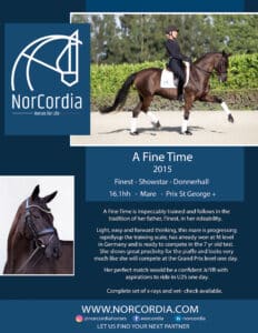 NorCordia A Fine Time Prix St George for sale