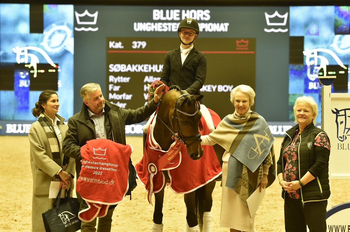 NORCORDIA WINS DANISH WARMBLOOD AND HAPPY HORSE AWARD