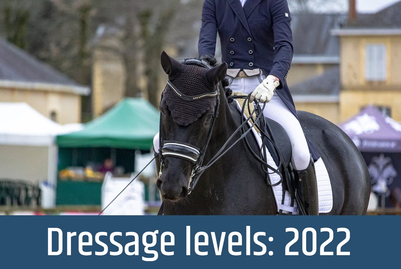 Levels in Dressage, an Expert’s Guide