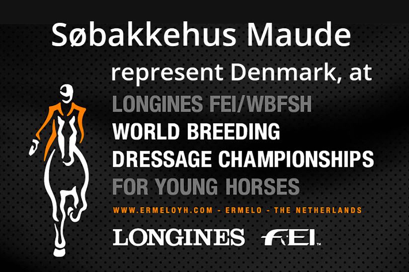 Søbakkehus Maude Represent Denmark in FEI WBFSH