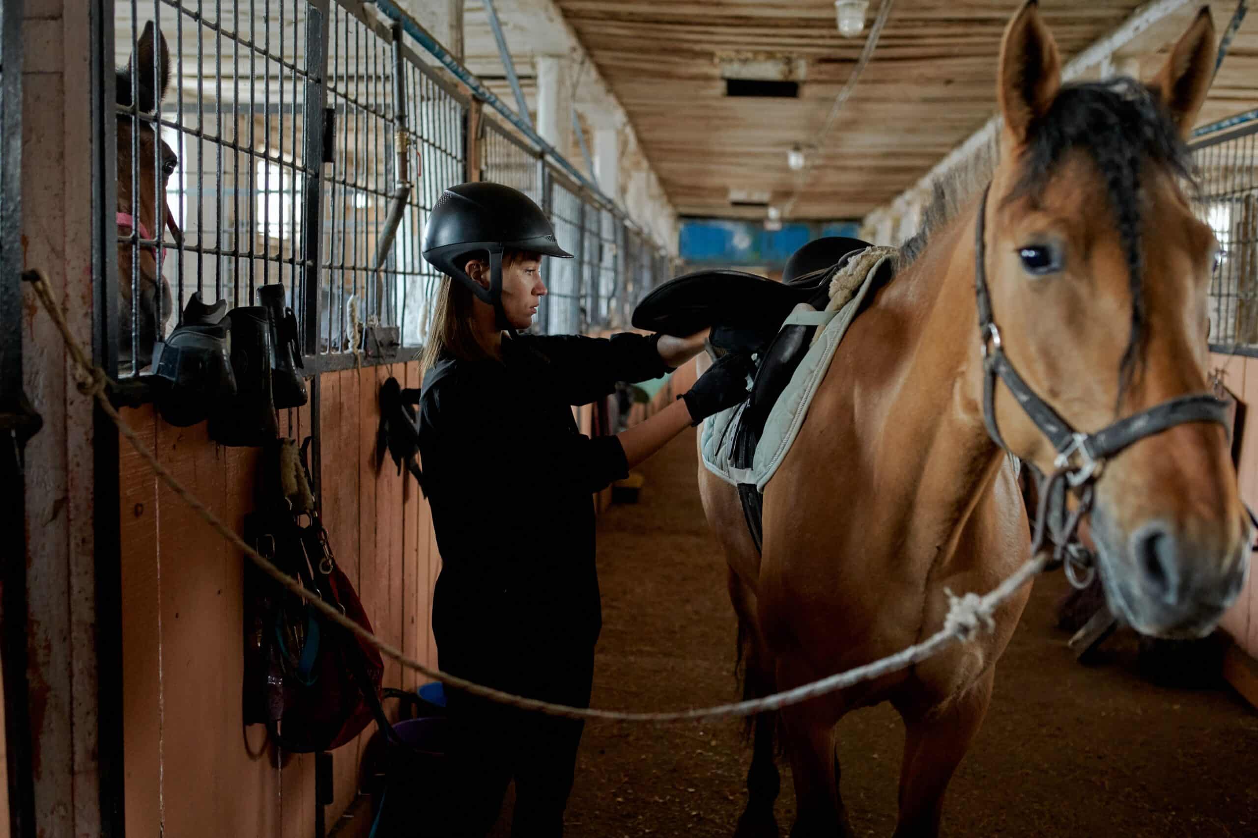 The Importance of Consistency and Routine with Dressage Training